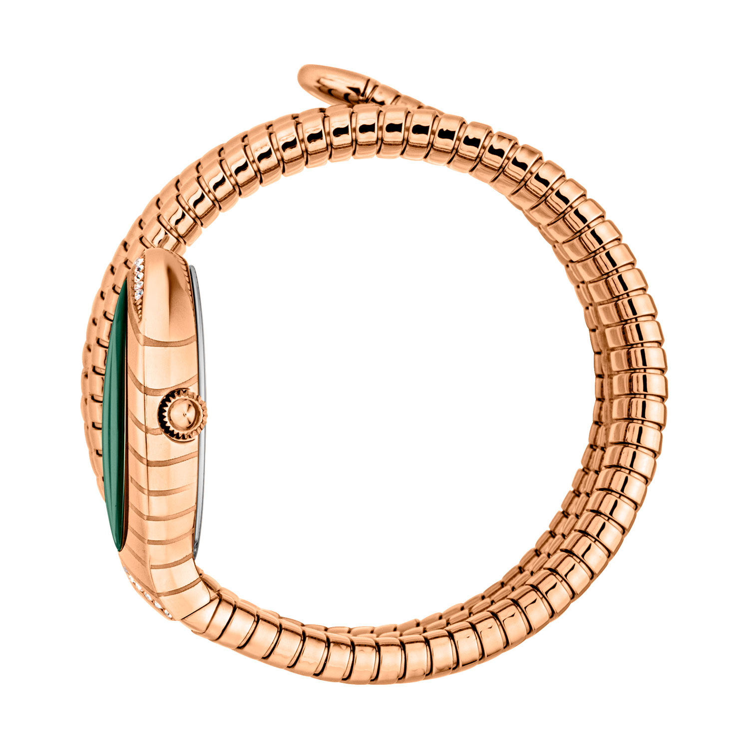 Just Cavalli JC1L248M0045